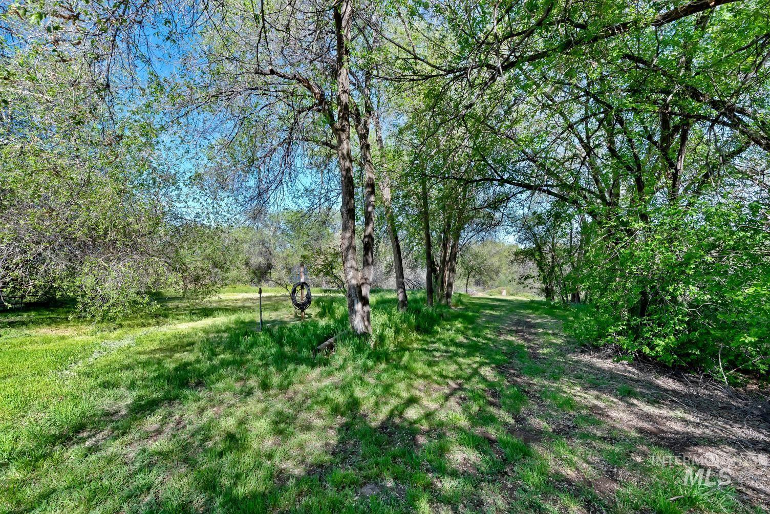 19152 Marsing Road Caldwell, ID 83607 - Photo 8 of 47 Expansive outdoor space featuring a natural landscape with mature trees and a clear blue sky