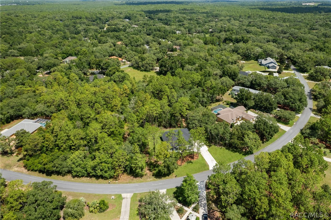 3946 North Longvalley Road Hernando, FL 34442 - Photo 50 of 58