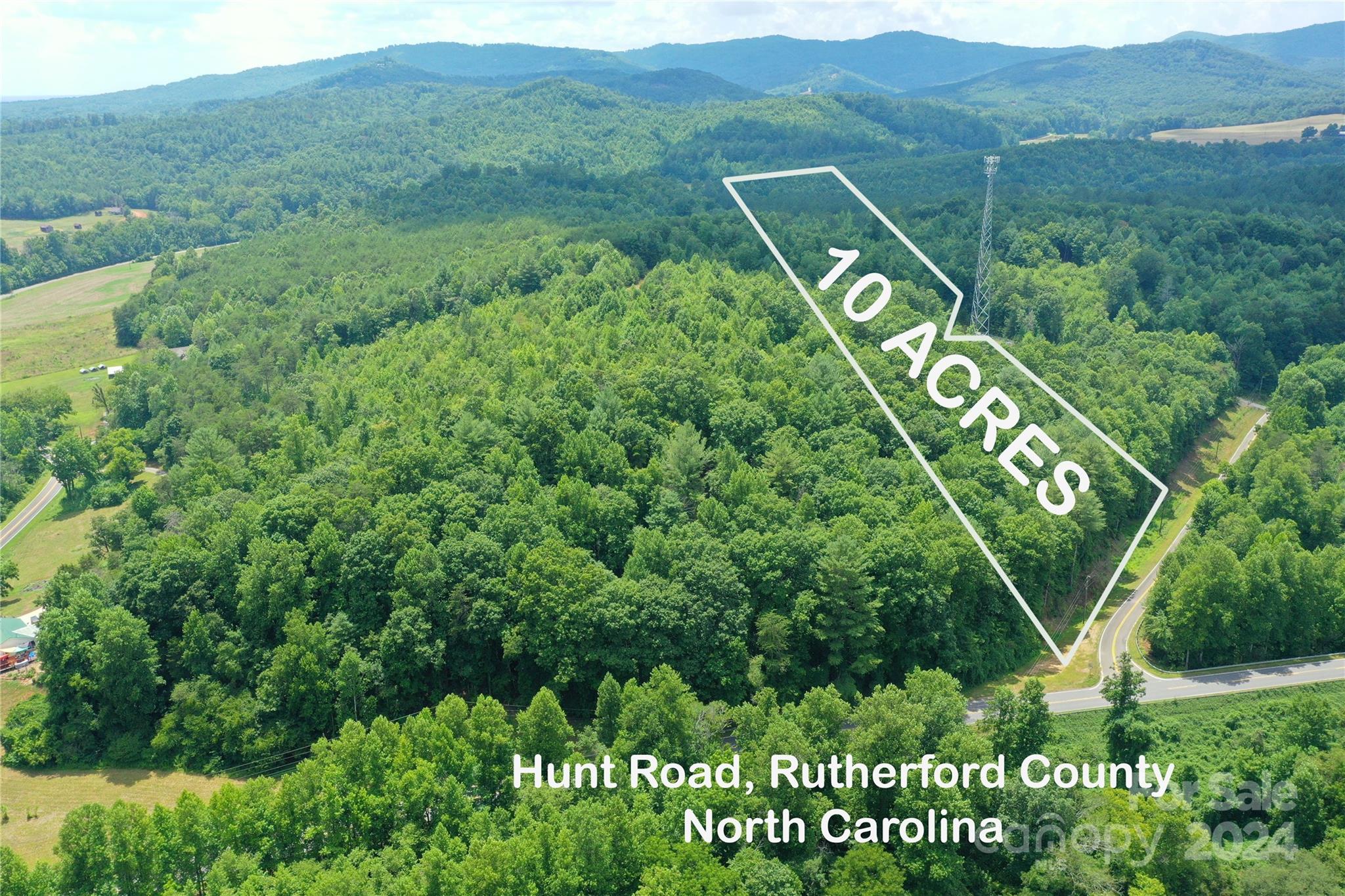 a view of a lush green forest with trees and some houses