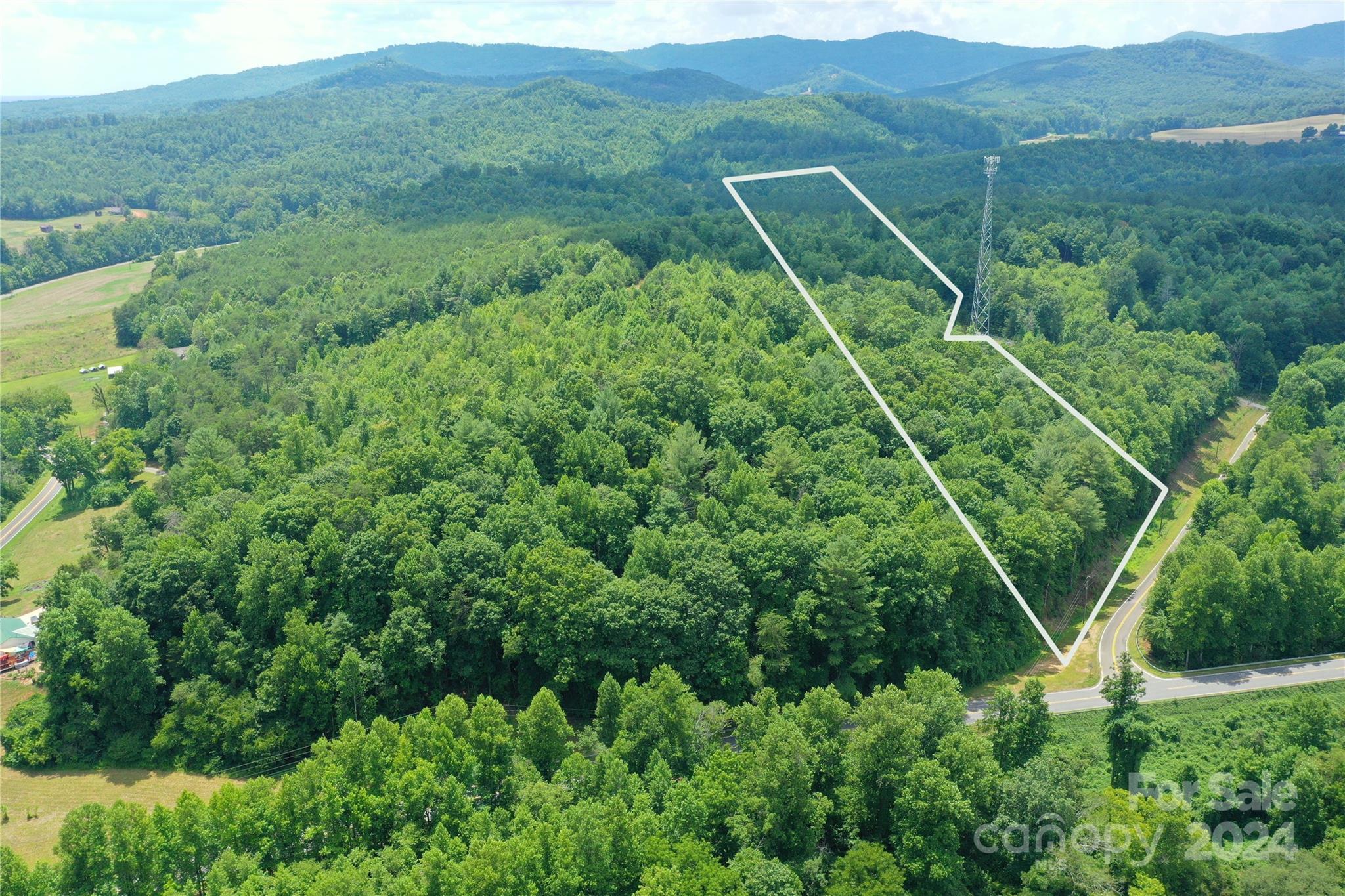 0 Hunt Road Bostic, NC 28018 - Photo 3 of 14 a view of a lush green forest with trees and some houses