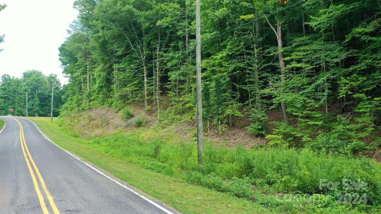 0 Hunt Road Bostic, NC 28018 - Photo 9 of 14 a view of a lush green forest