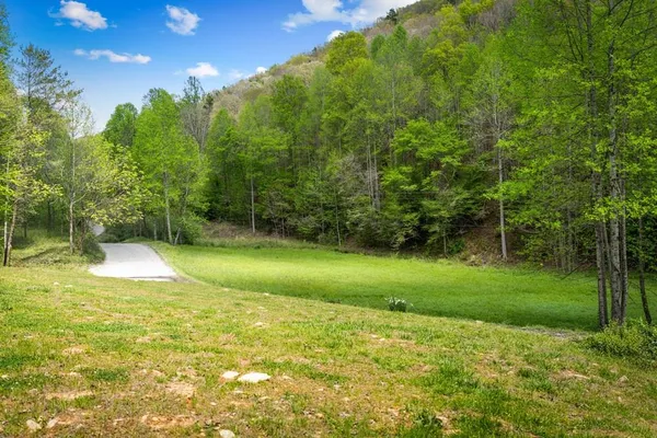 $450,000 | 891 Bushy Head Road, Cherry Log, GA 30522