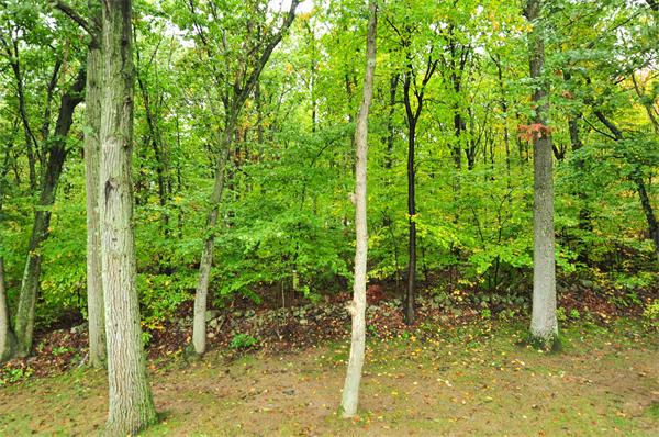 68 Nottingham Road, Unit 68 Grafton, MA 01519 - Photo 17 of 18 Gallery Image 17
