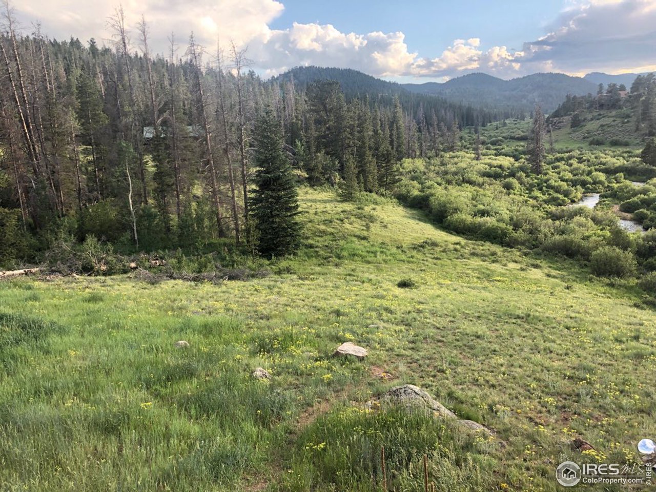 759 Huron Road Red Feather Lakes, CO 80545 - Photo 21 of 21 gorgeous views with river below