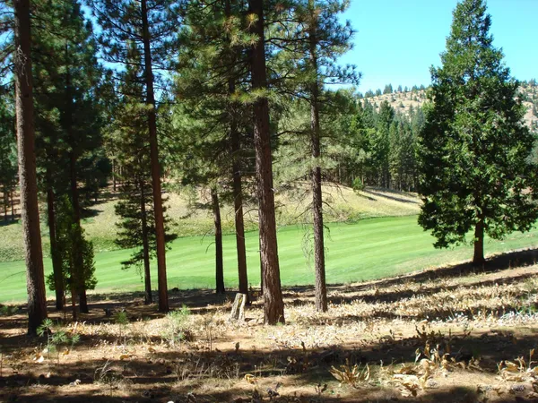 a view of a yard with an trees