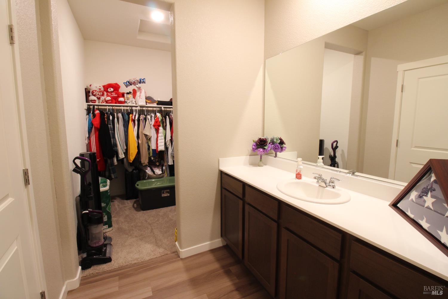 2283 Revival Lane Rio Vista, CA 94571 - Photo 20 of 44 a bathroom with a sink and a mirror