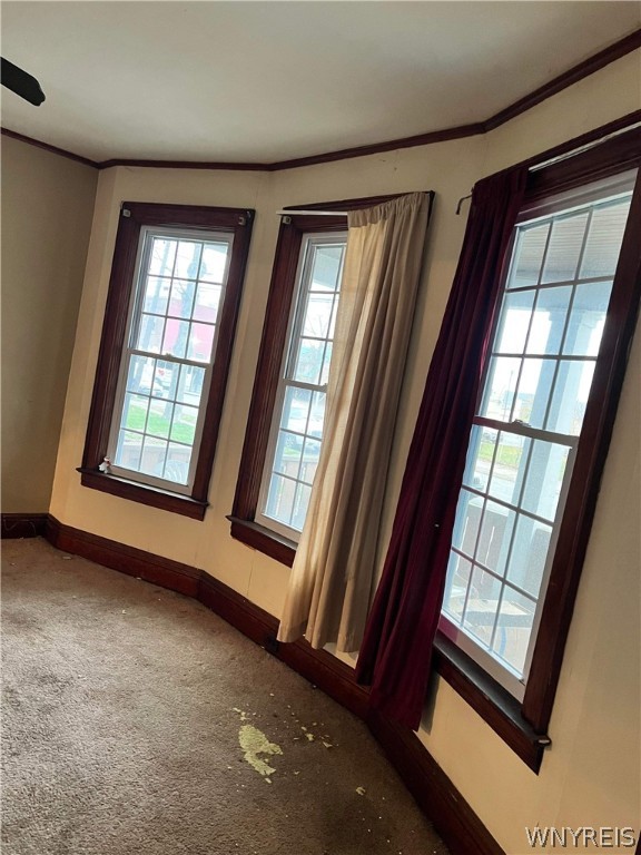 31 Indian Church Road Buffalo, NY 14210 - Photo 3 of 16 lower living room