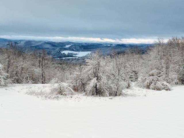 1340 Scales Hill Road Washington, VT 05675 - Photo 36 of 40