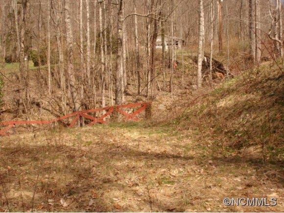 224 Fie Top Road Maggie Valley, NC 28751 - Photo 10 of 16 Gallery Image 10