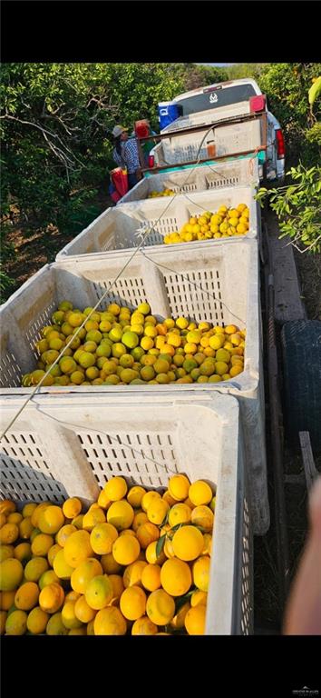 1107 West Davis Road Edinburg, TX 78541 - Photo 2 of 6 Exterior view