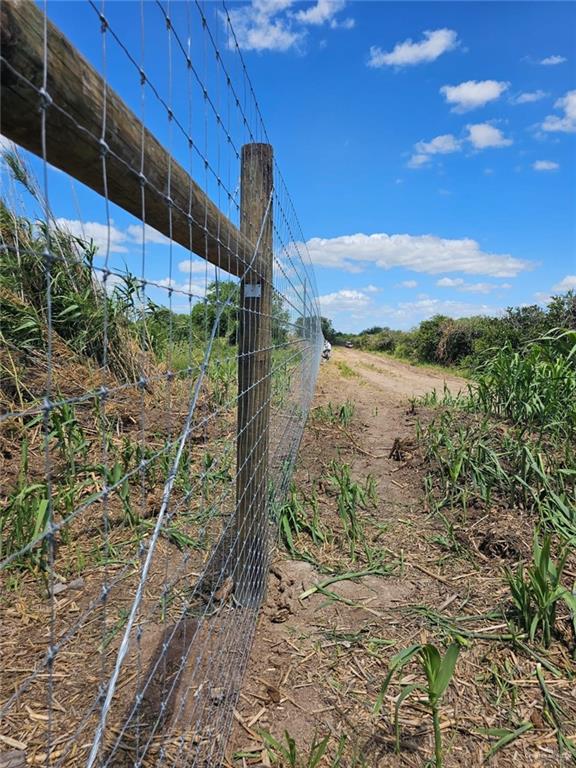 1107 West Davis Road Edinburg, TX 78541 - Photo 6 of 6 View of yard