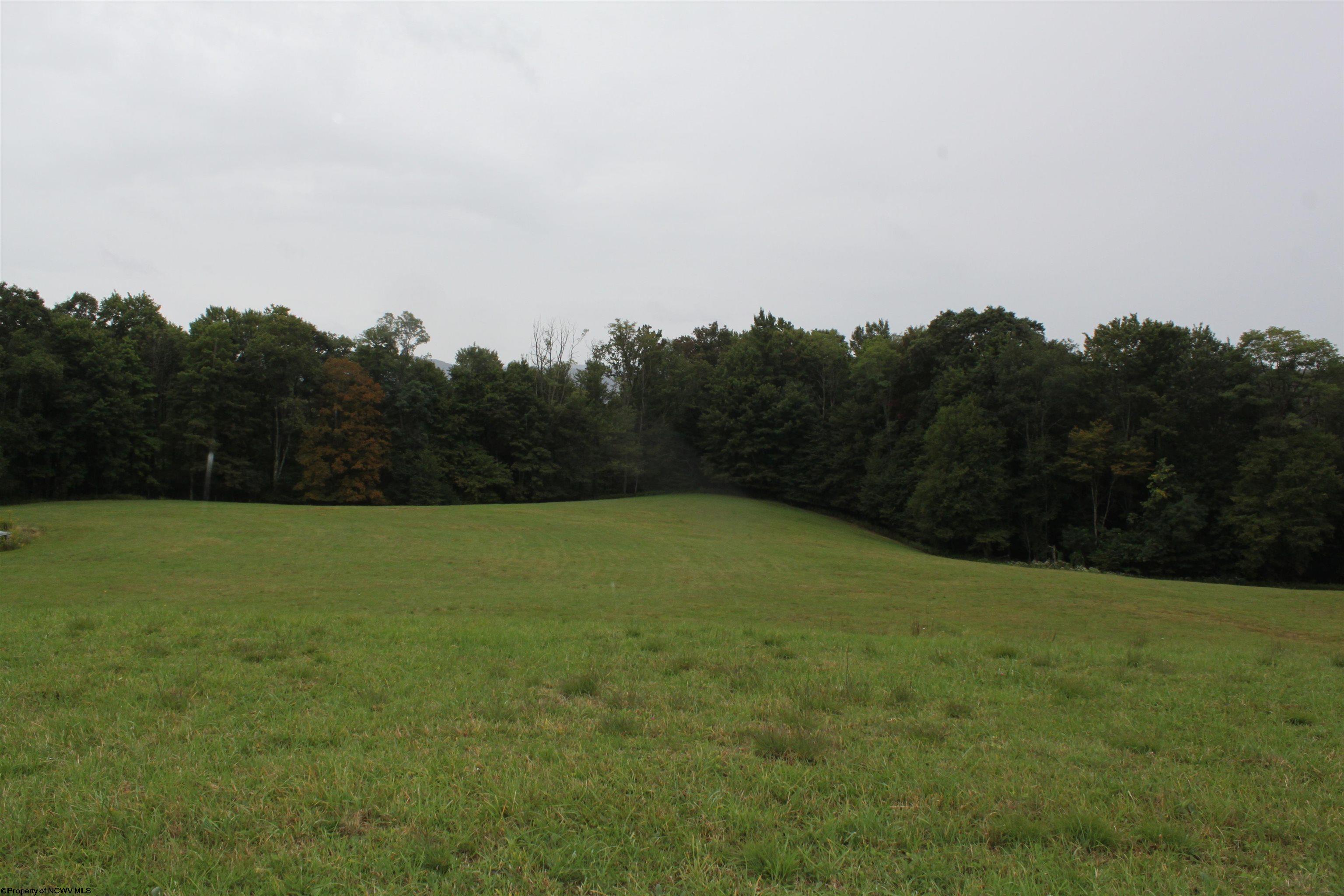 6776 Point Mountain Road Webster Springs, WV 26288 - Photo 29 of 32 Gallery Image 29