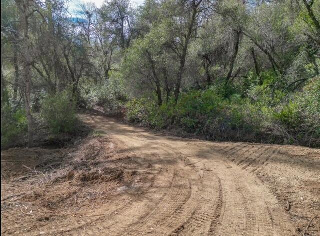 0 Quail Run Road Redding, CA 96003 - Photo 7 of 14 IMG_2875