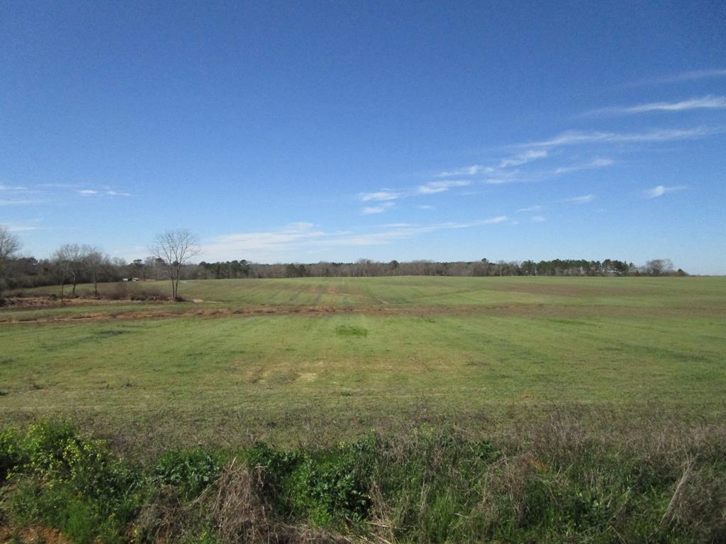 2 Culver Road Newville, AL 36353 - Photo 1 of 2