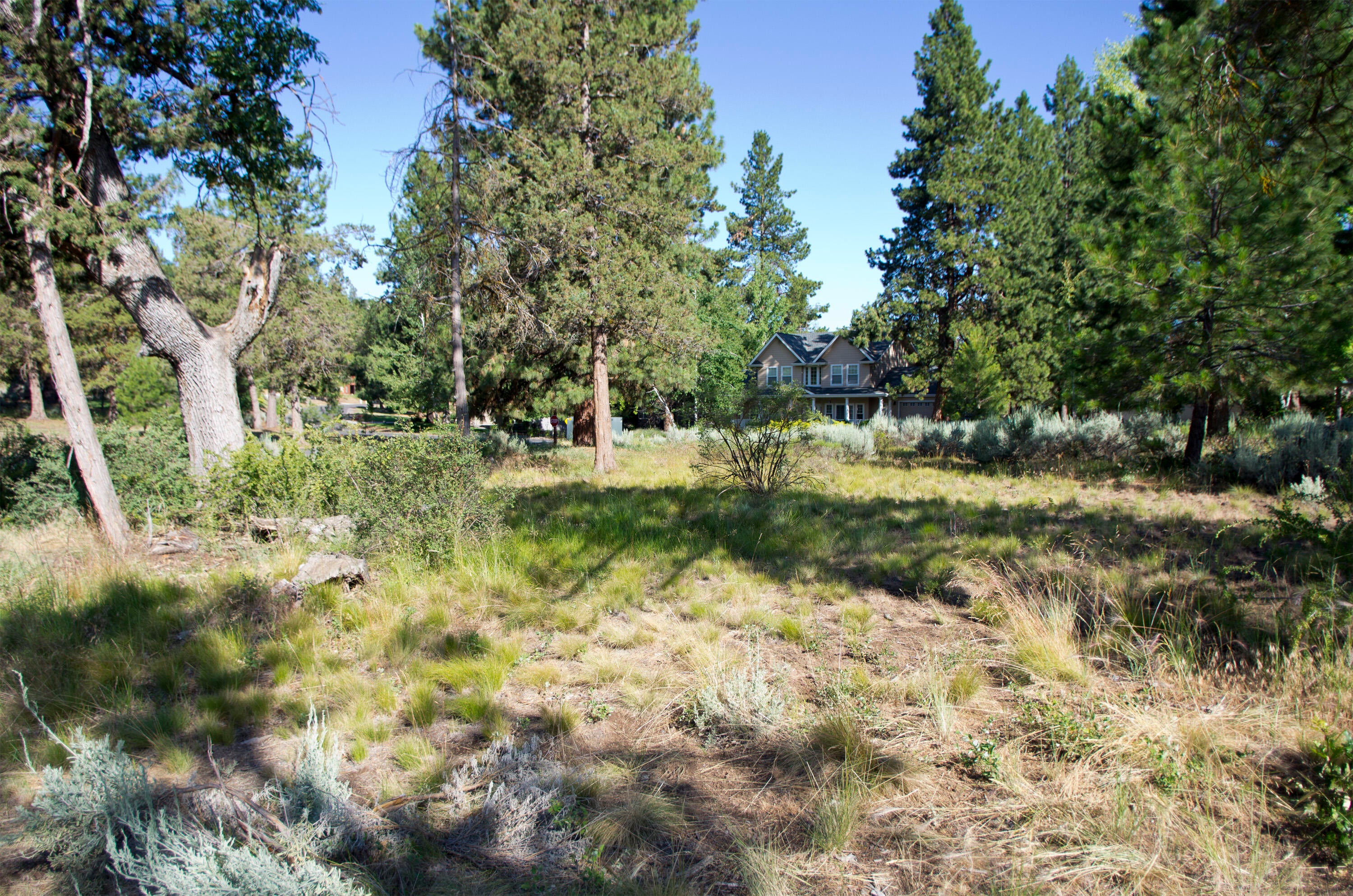 Murrelet Road Klamath Falls, OR 97601 - Photo 7 of 11 Lot07