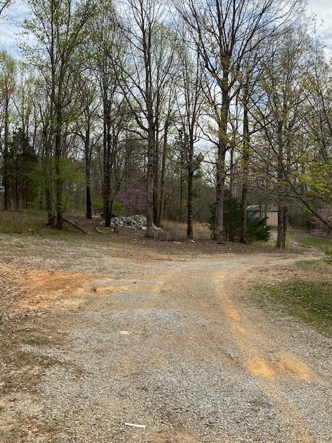 7454 South Swift Road Goodlettsville, TN 37072 - Photo 22 of 23 Gallery Image 22