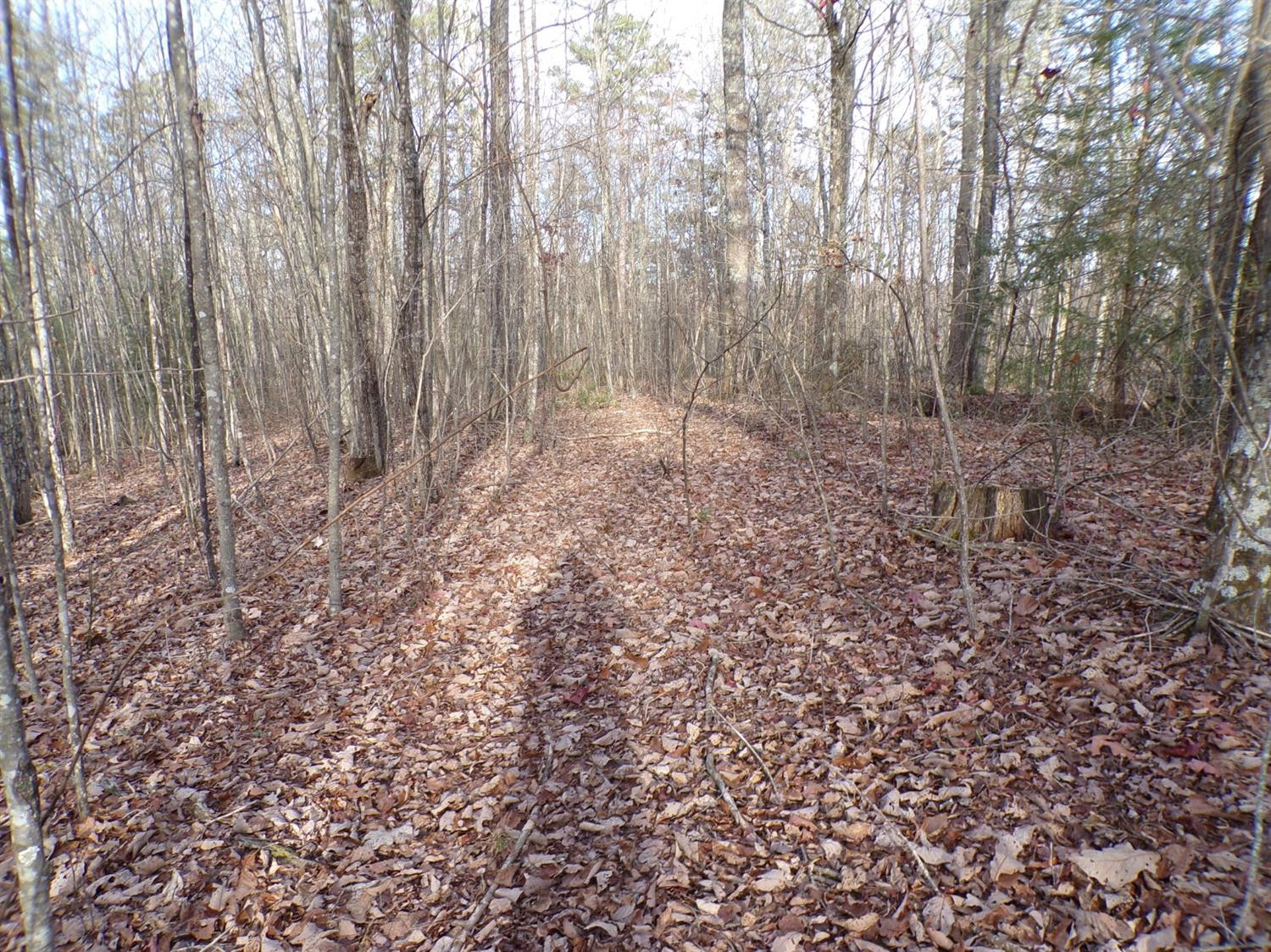 4200 Forest Service Road London, KY 40744 - Photo 5 of 44 Photo 5