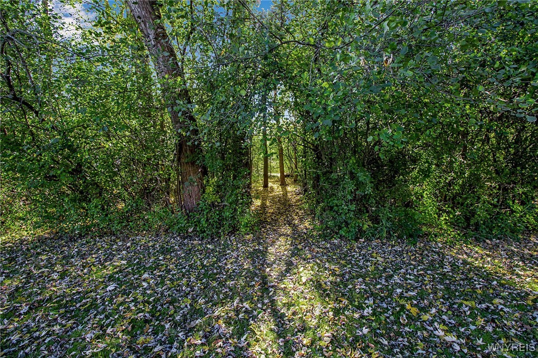 2160 Bullis Road Elma, NY 14059 - Photo 31 of 38