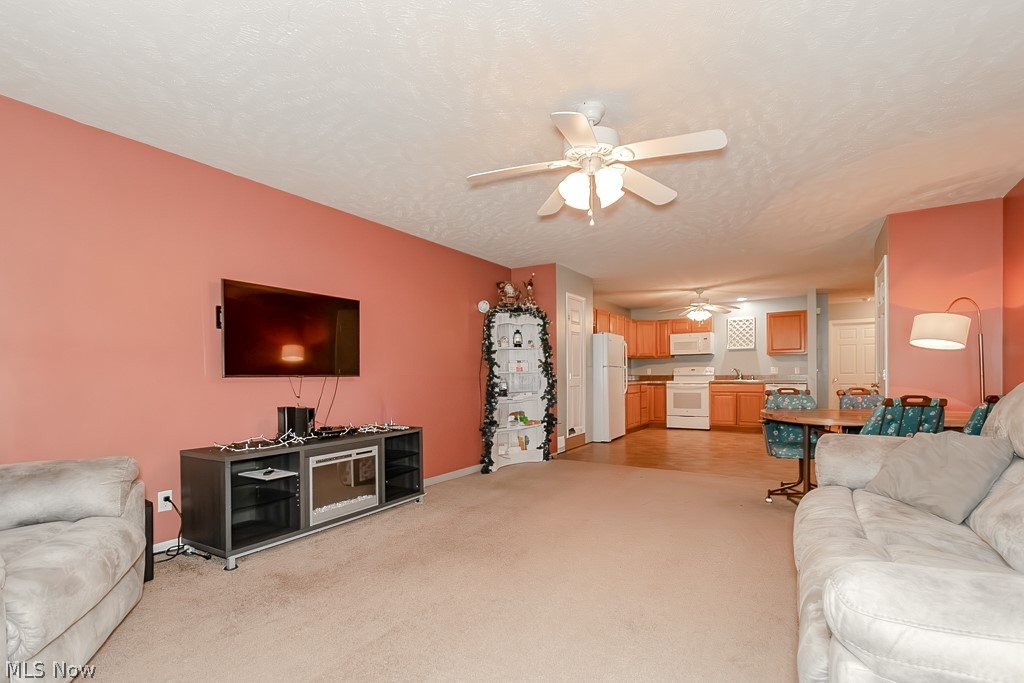 5930 Lake Road West, Unit 1402 Ashtabula, OH 44004 - Photo 3 of 24