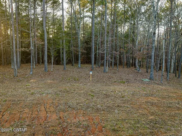 a view of outdoor space with trees