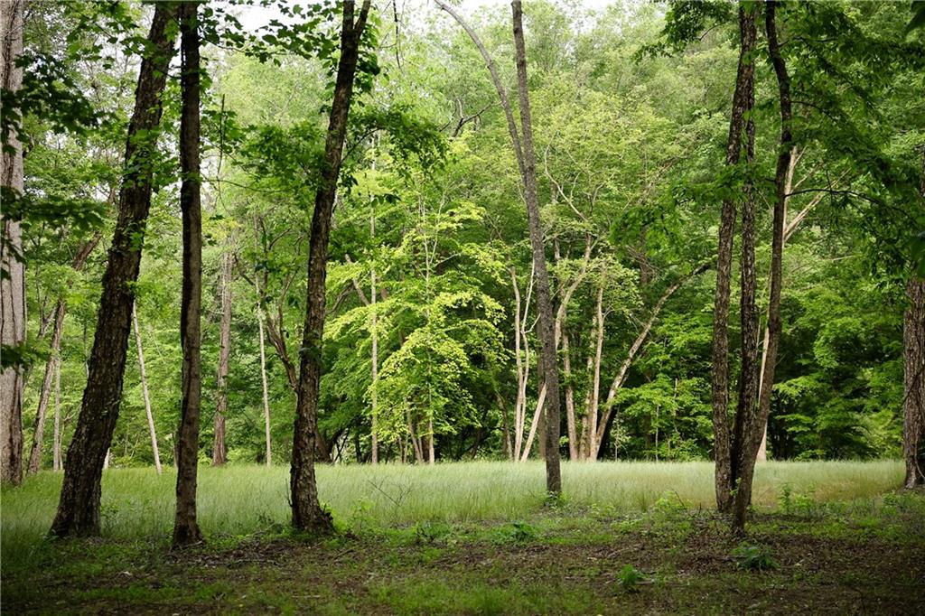 2 & 2a Weymans Way Blue Ridge, GA 30513 - Photo 31 of 34 a view of a park
