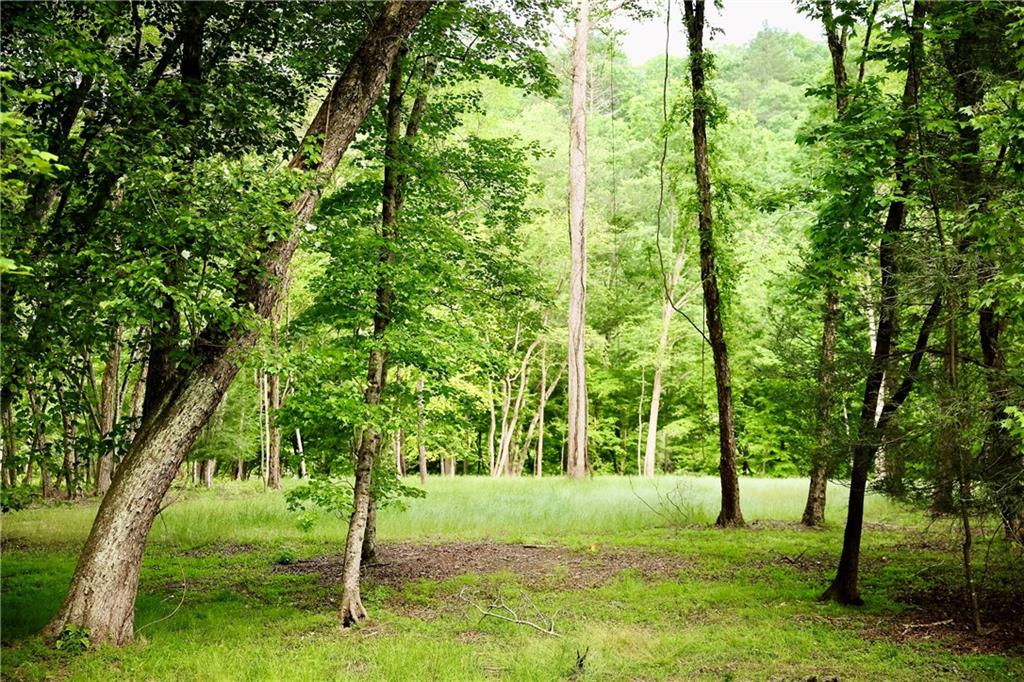 2 & 2a Weymans Way Blue Ridge, GA 30513 - Photo 8 of 34 a view of a backyard with large trees