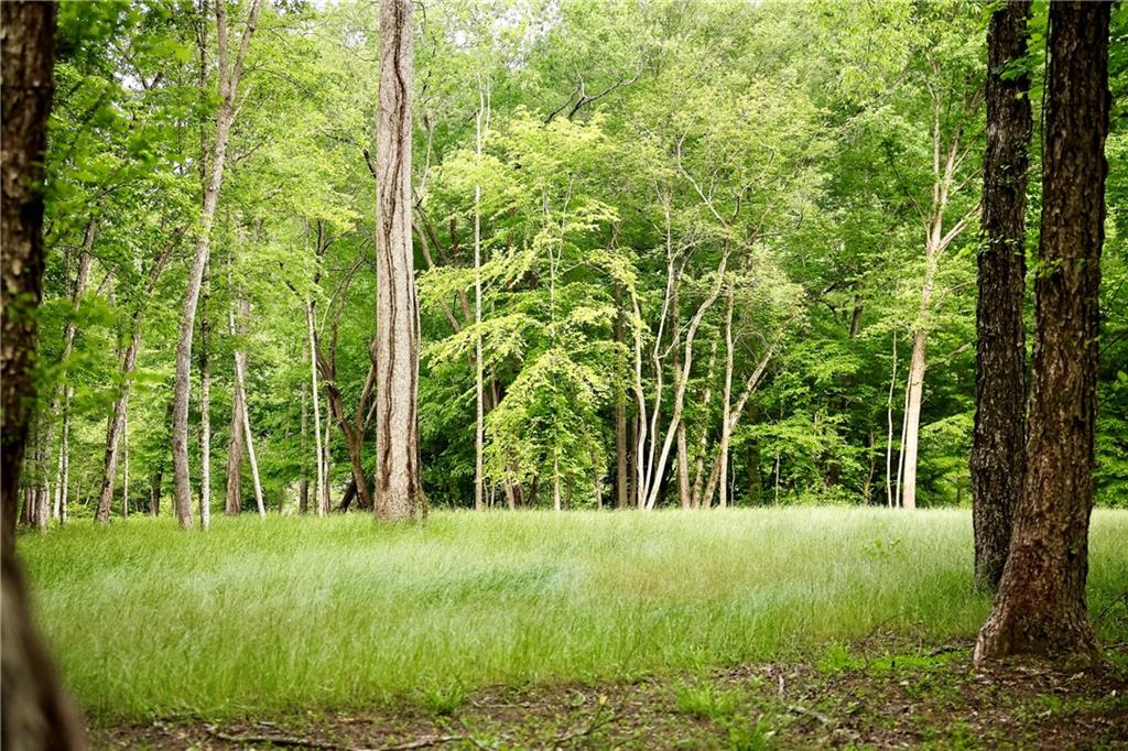 2 & 2a Weymans Way Blue Ridge, GA 30513 - Photo 9 of 34 a view of outdoor space with deck and tree