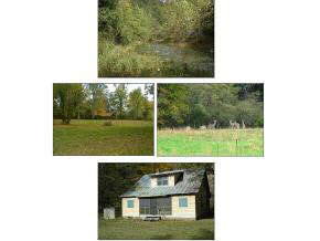 629 Tbd Route Deerfield, VA 24432 - Photo 1 of 1 Gallery Image 1