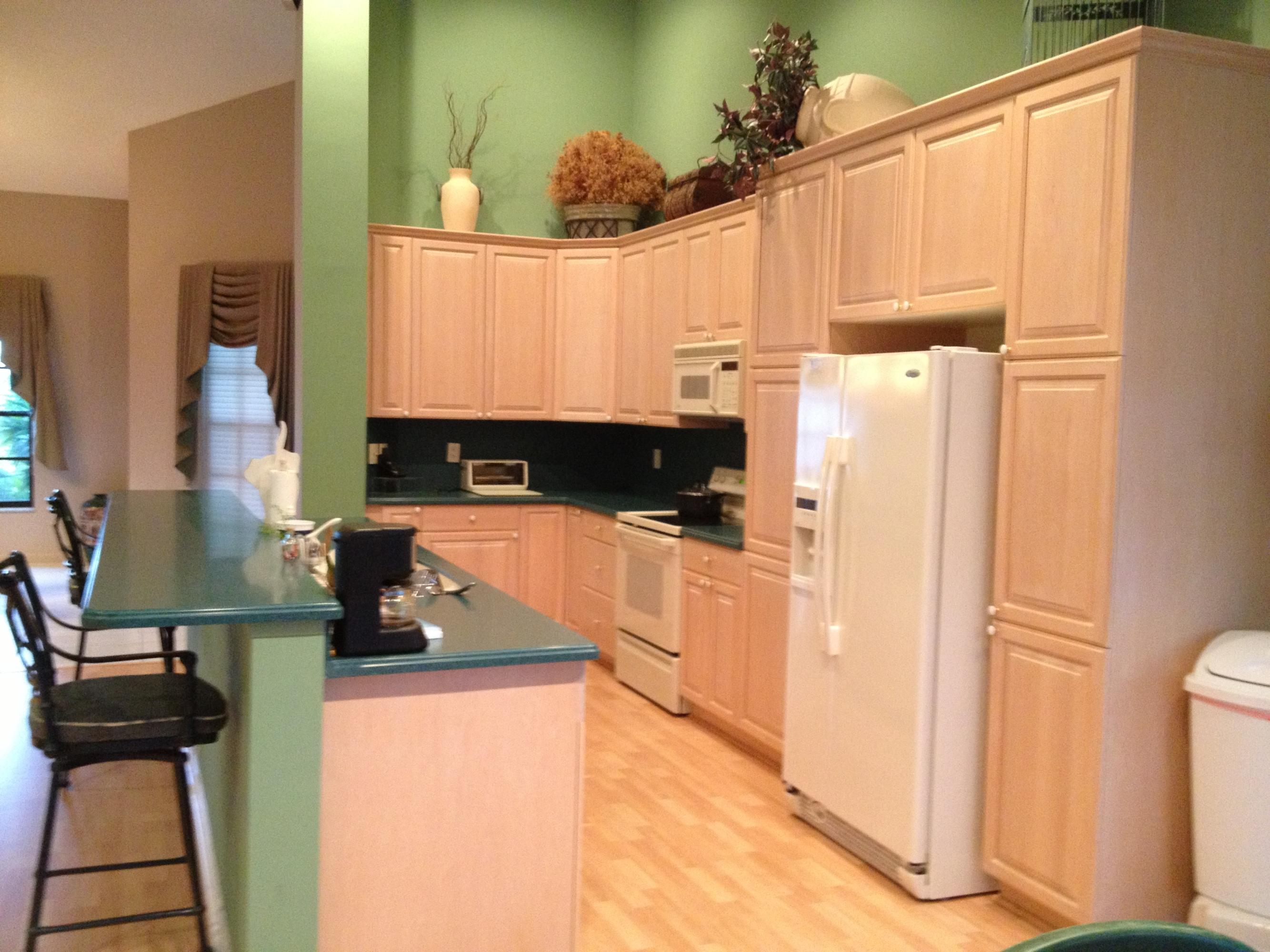 7208 Montrico Drive Boca Raton, FL 33433 - Photo 9 of 30 KITCHEN