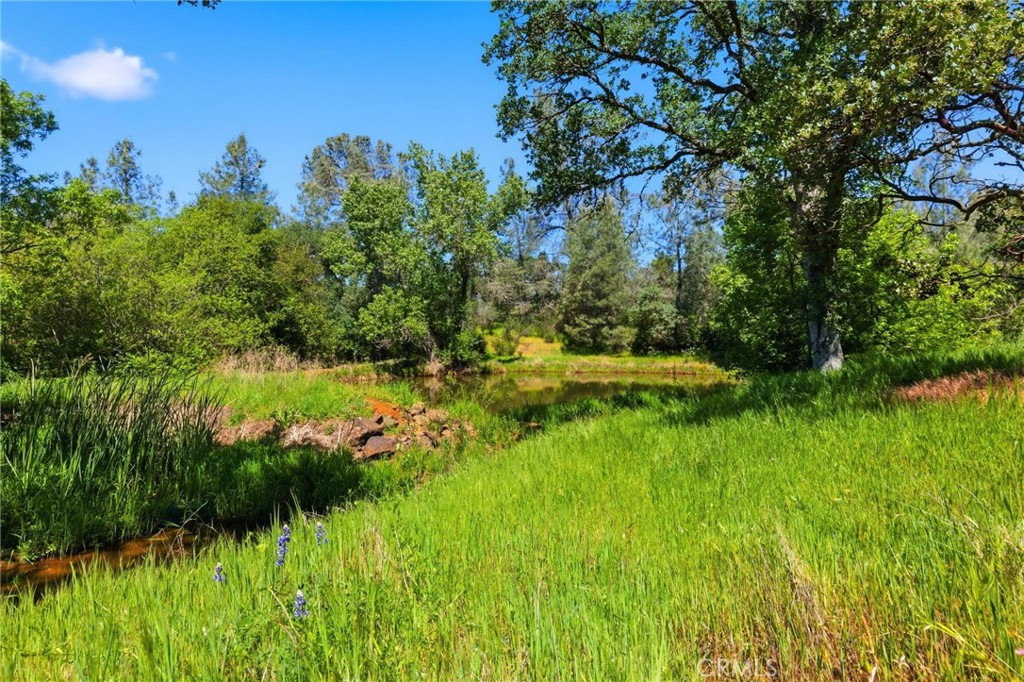 105 Swedes Flat Road Oroville, CA 95966 - Photo 30 of 42