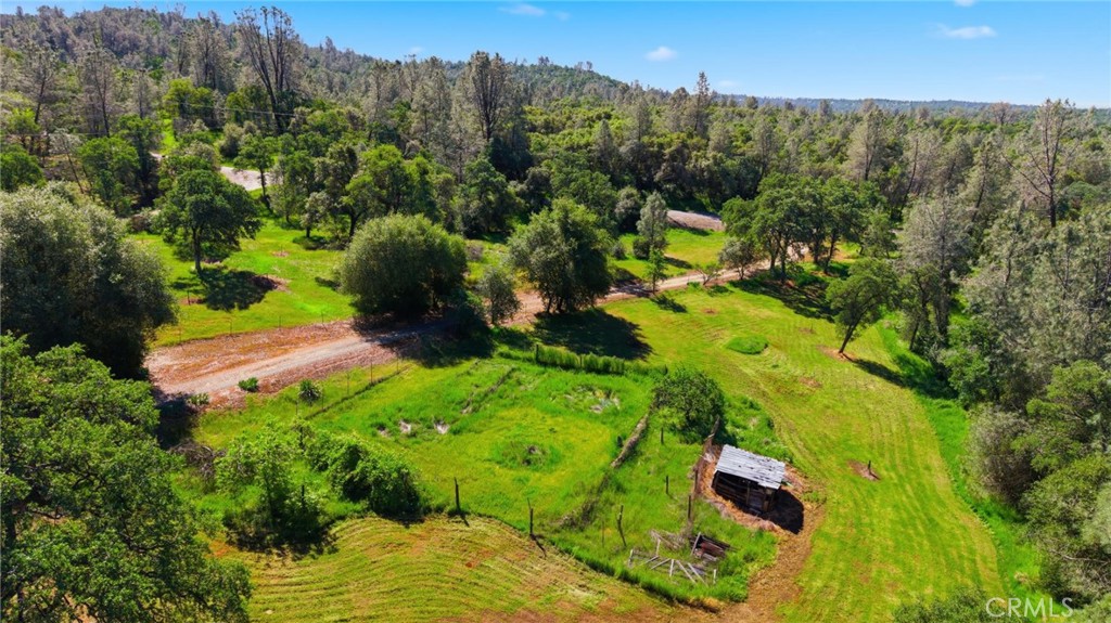 105 Swedes Flat Road Oroville, CA 95966 - Photo 36 of 42