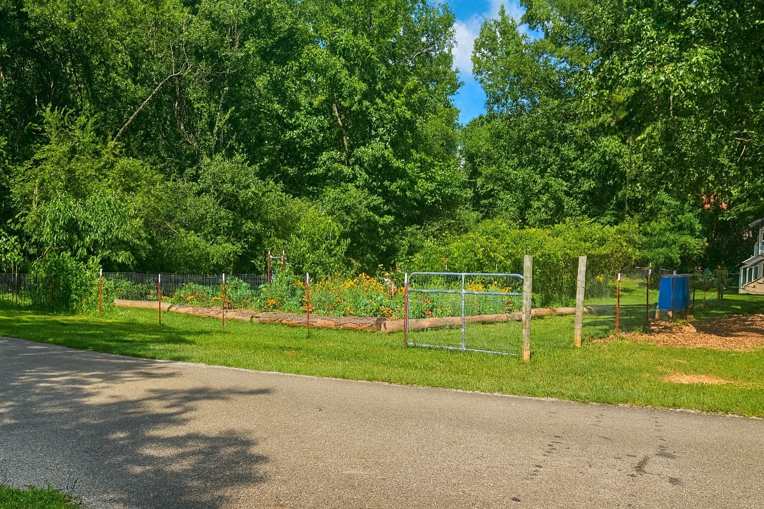 339 Old Flatwoods School Road Linden, TN 37096 - Photo 7 of 21 a front view of a house with a big yard