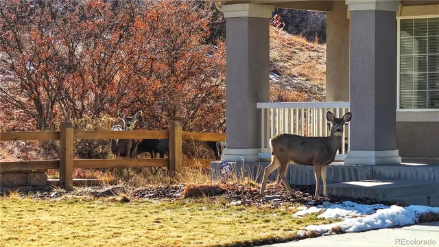 $899,000 | 1275 Exquisite Street, Castle Rock, CO 80109