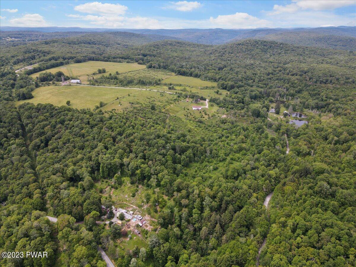 Adams Road Equinunk, PA 18417 - Photo 5 of 8 Aerial View