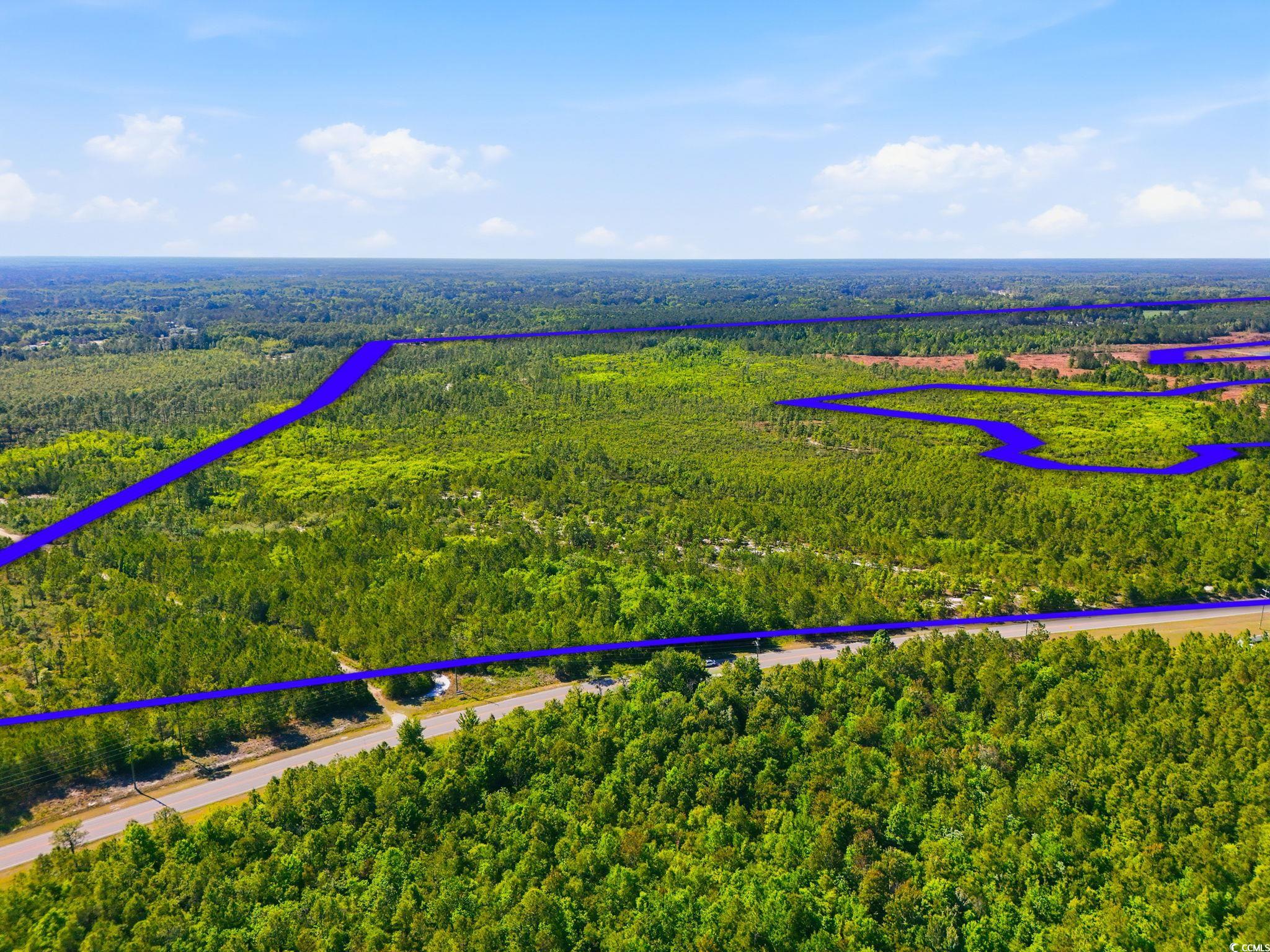 Tbd Water Tower Road Longs, SC 29568 - Photo 1 of 21