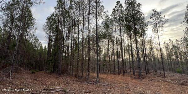 24 Pleasant Road Camp Hill, AL 36850 - Photo 10 of 21 Gallery Image 10