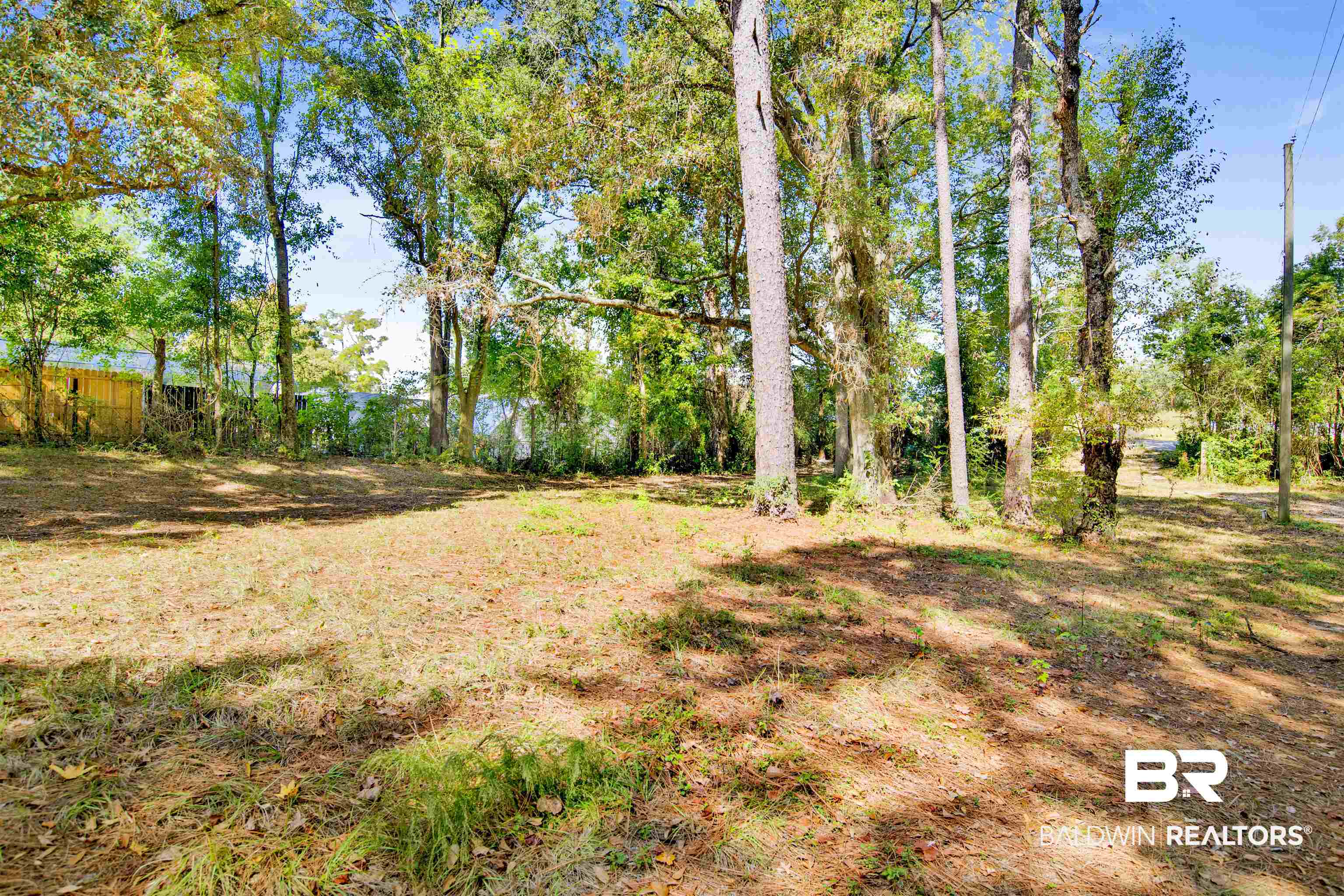 7623 Old Shell Road Mobile, AL 36608 - Photo 6 of 12 View of yard