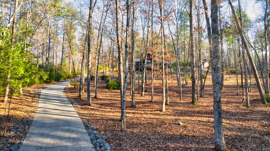 323 Stanley Creek Road Blue Ridge, GA 30513 - Photo 51 of 82 Gallery Image 51