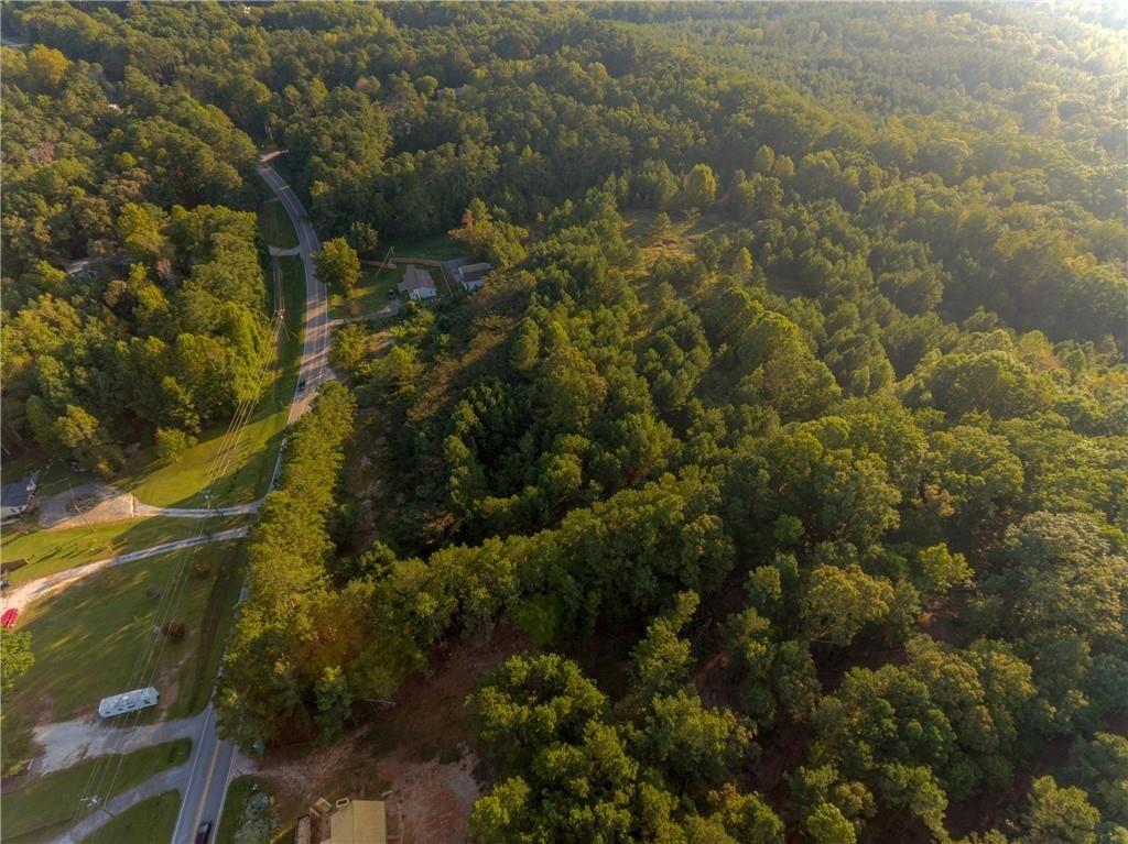 1428 Bobo Road Dallas, GA 30132 - Photo 10 of 12 a view of a forest
