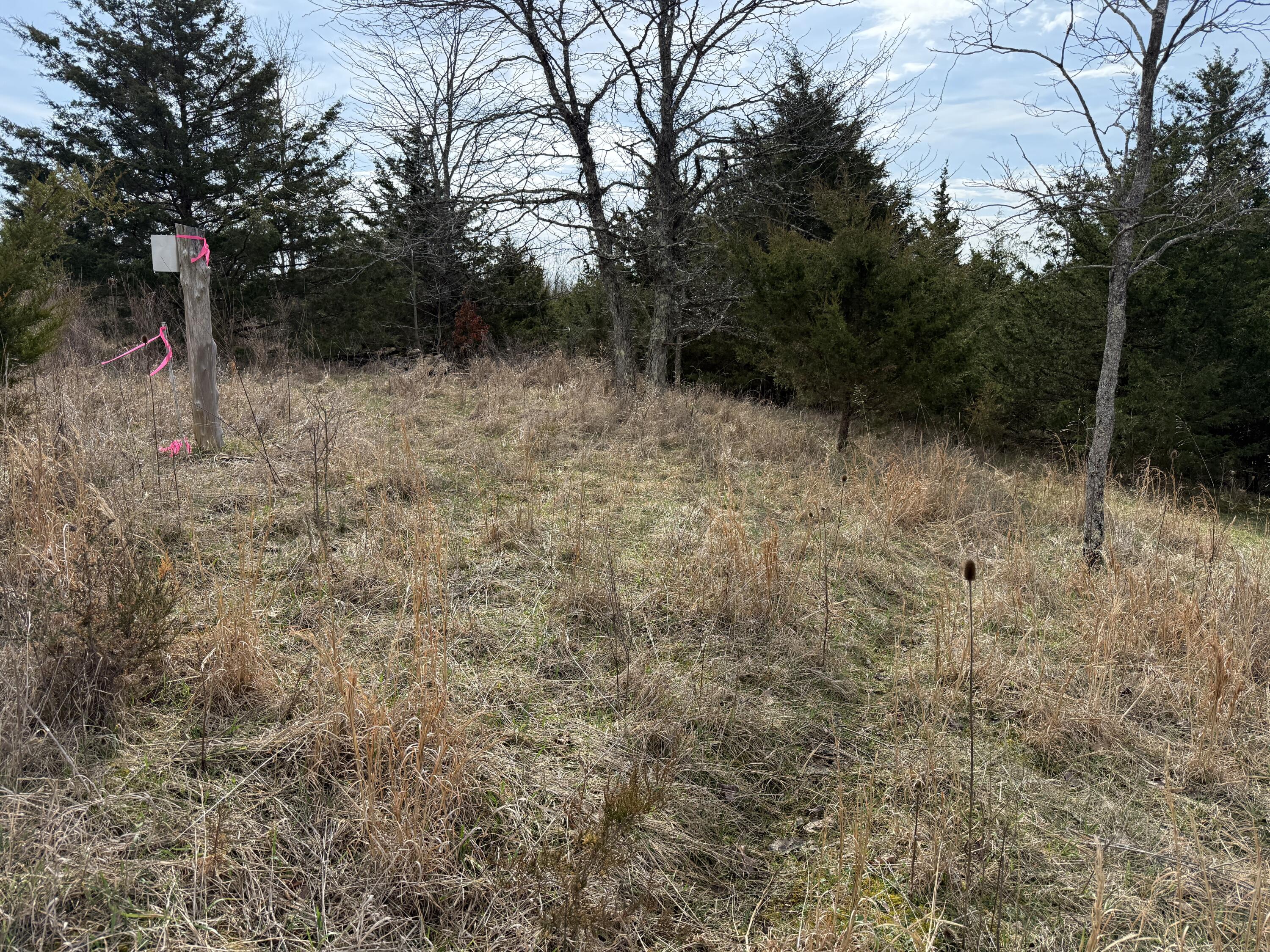 0 Mattox Road Falmouth, KY 41040 - Photo 7 of 19