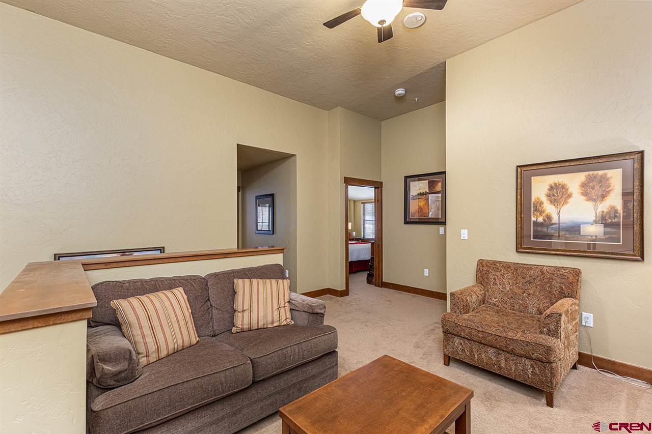 24 Sheol Street, Unit 508 R32 Durango, CO 81301 - Photo 14 of 26