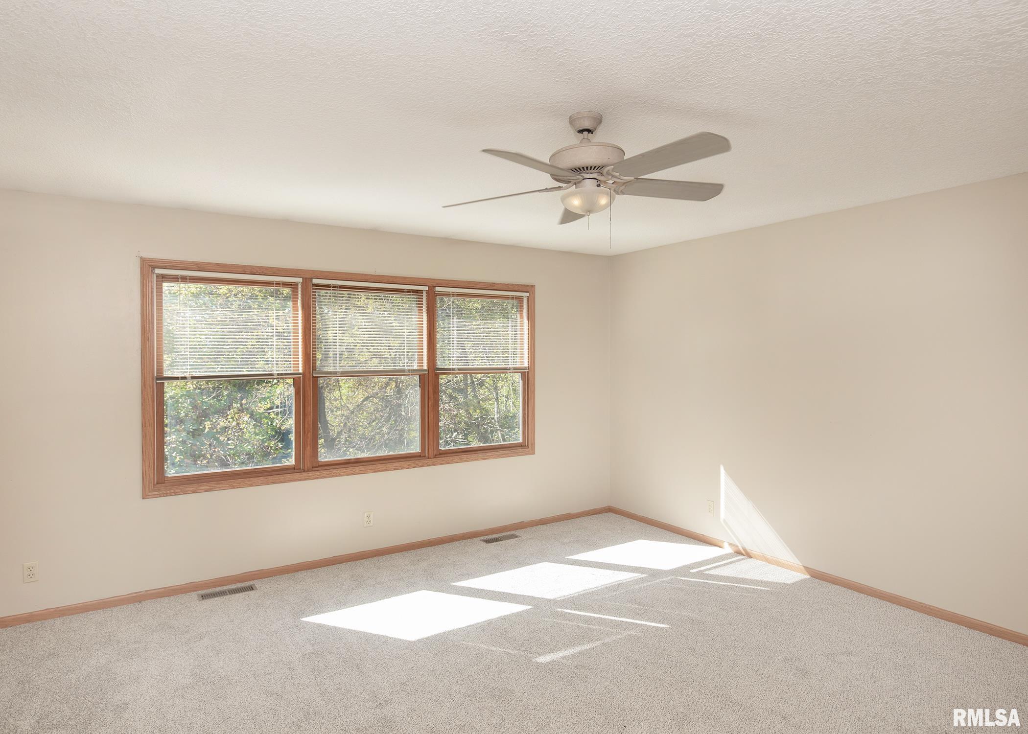 19 Hickory Hills Road Geneseo, IL 61254 - Photo 11 of 41 Gallery Image 11