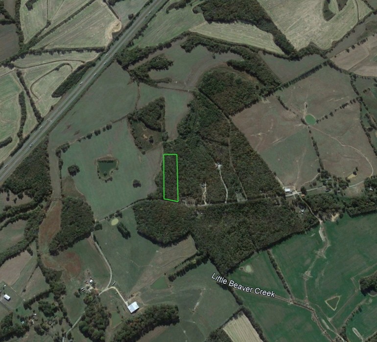 0 Leo Woods Road Cedar Grove, TN 38321 - Photo 6 of 8 a aerial view of a house with a yard