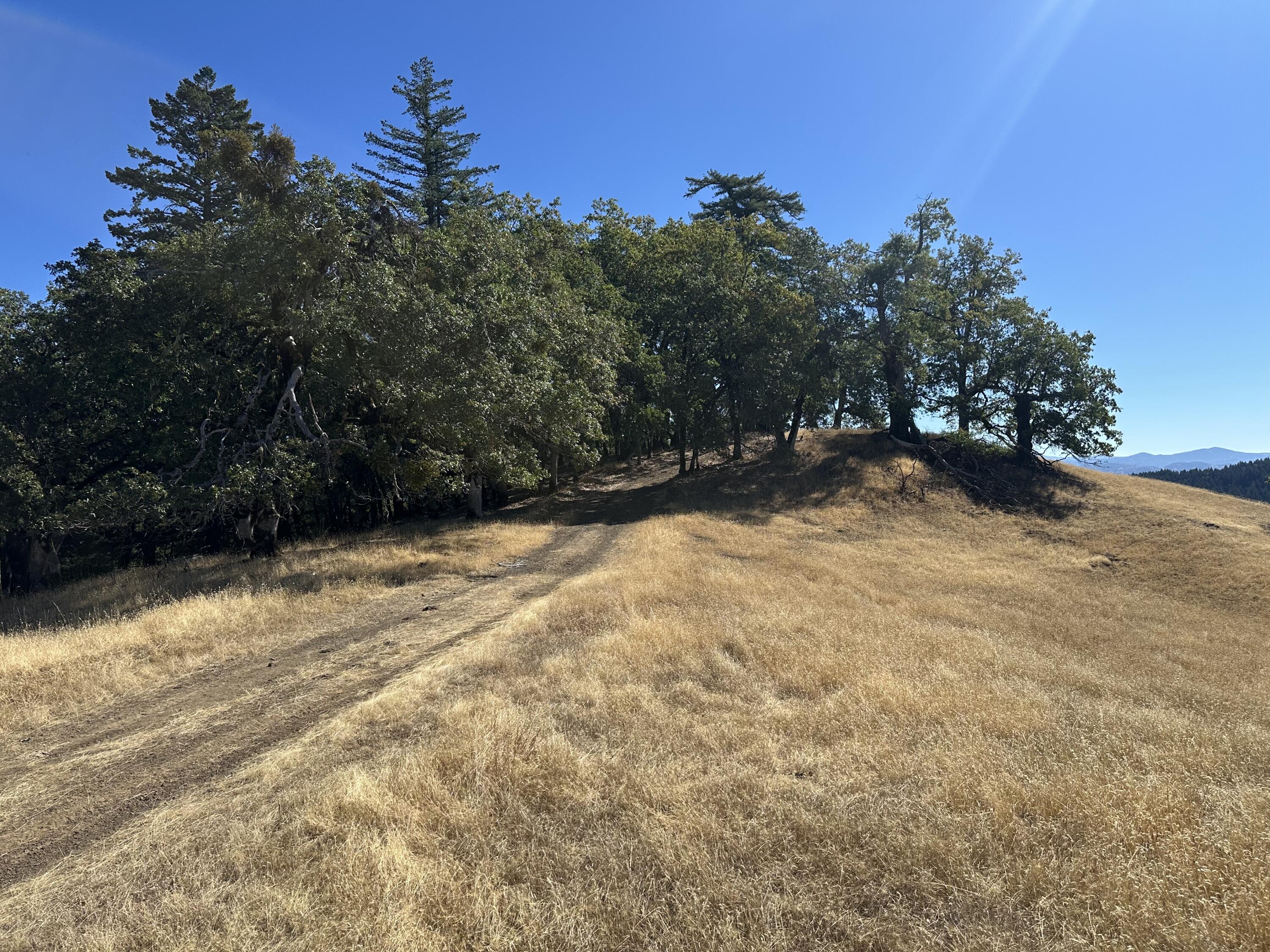 751 Lassic's Lookout Road Zenia, CA 95595 - Photo 12 of 29