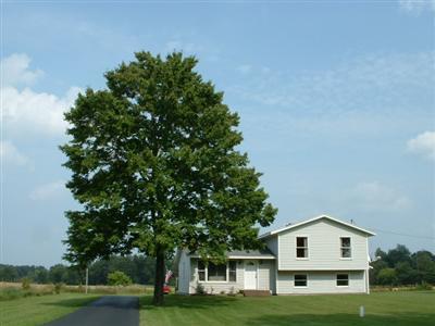 17074 18 Mile Road Marshall, MI 49068 - Photo 1 of 2 Primary Photo