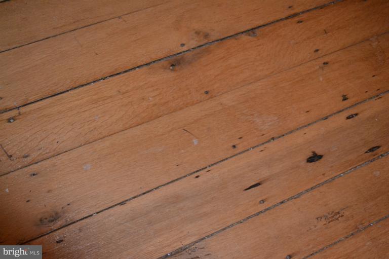 559 Union Church Road Elkton, MD 21921 - Photo 11 of 30 Wood Floors