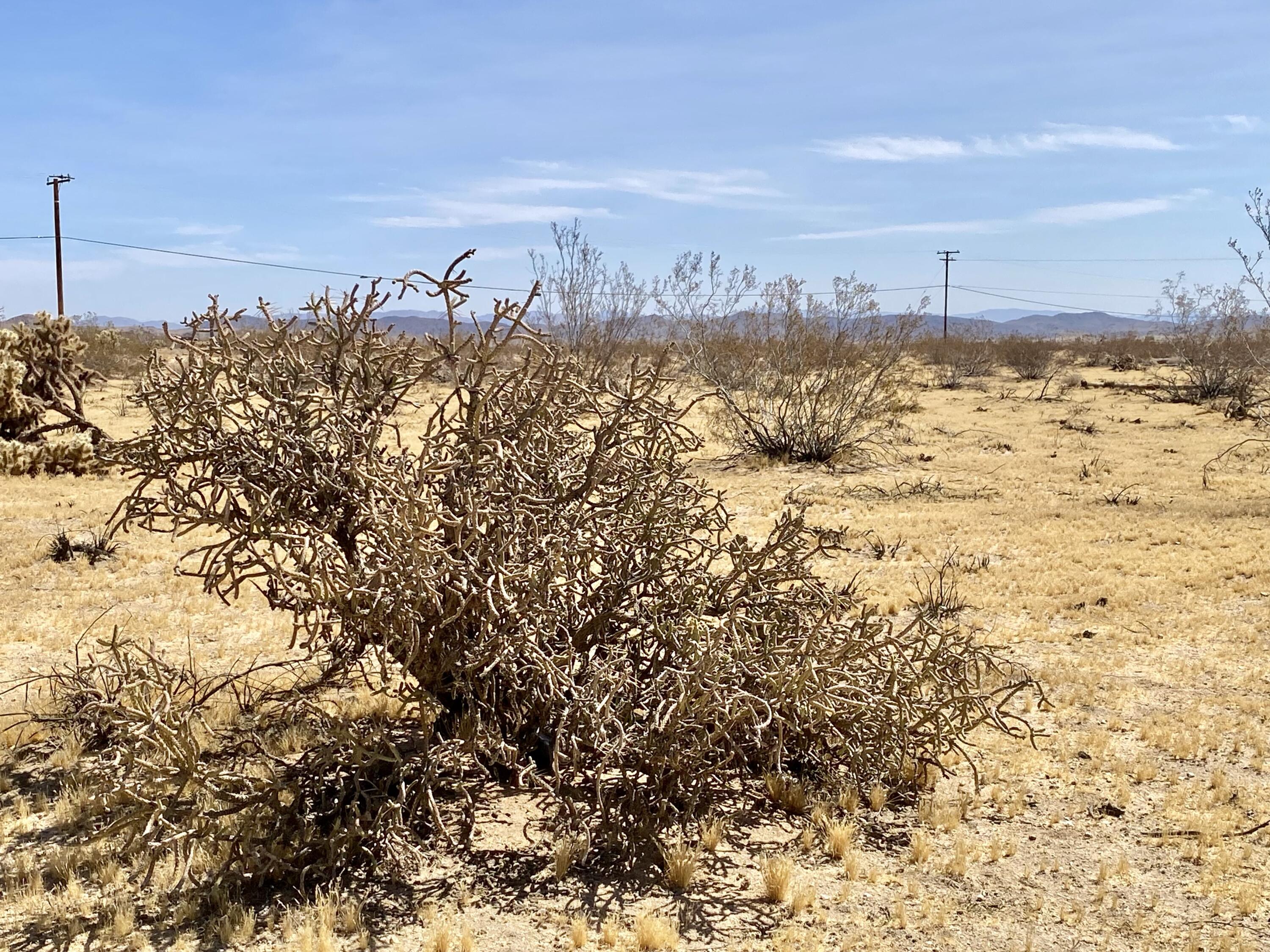 62585 2 Mile Road Joshua Tree, CA 92252 - Photo 37 of 66 IMG_9227