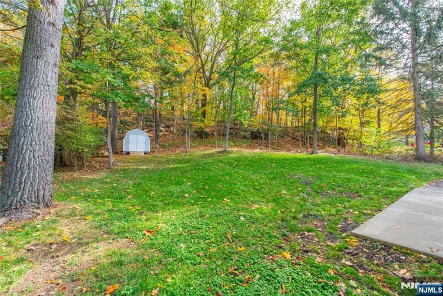 a view of a backyard with large trees