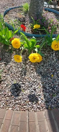 $3,000 | 2347 North 117th Street, Wauwatosa, WI 53226