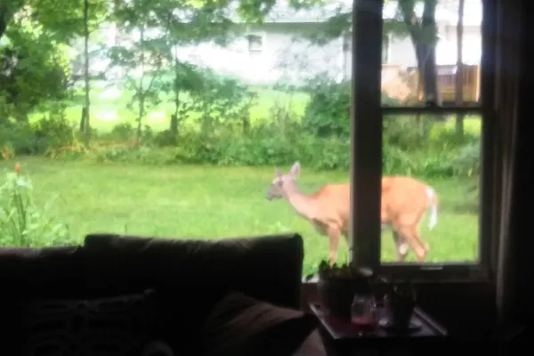 $3,400 | 2347 North 117th Street, Wauwatosa, WI 53226